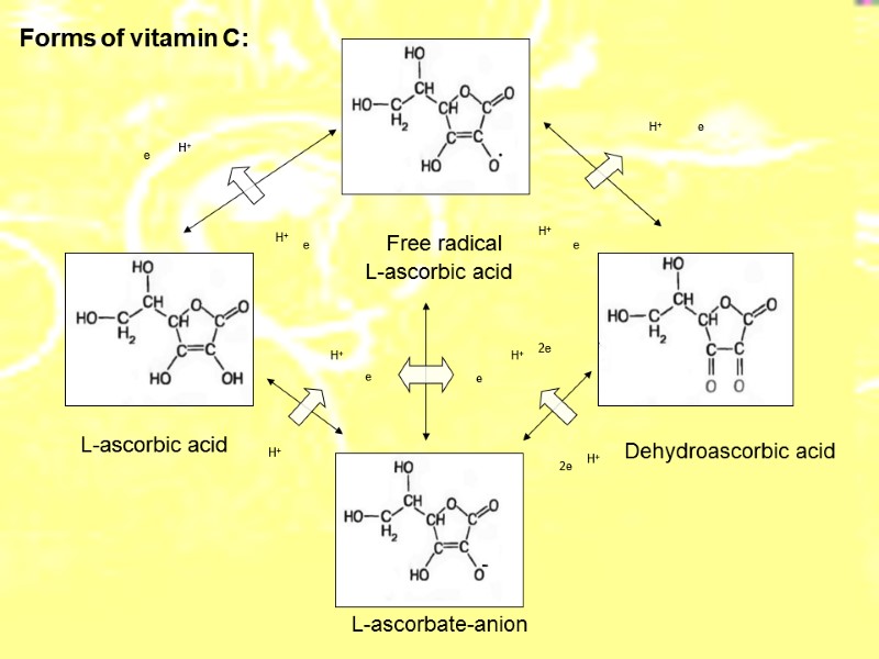 Forms of vitamin C:  L-ascorbic acid      Dehydroascorbic acid